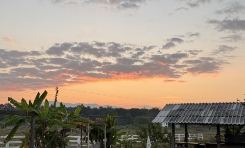 ขายกิจการร้านกาแฟ สระว่ายน้ำ วิลล่า 4 หลัง อ.แม่ริม จ.เชียงใหม่ พร้อมบริหารกิจการต่อได้เลย โทร 088-9162454