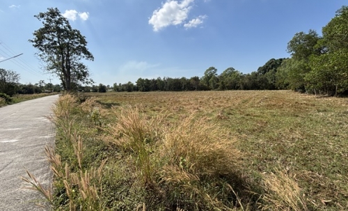 ขายที่ดิน 13 ไร่ 63 ตารางวา นครนายก ถนนสุวรรณศร หมู่ที่9 ต.ป่าขะ อ.บ้านนา โทร 089-7411750