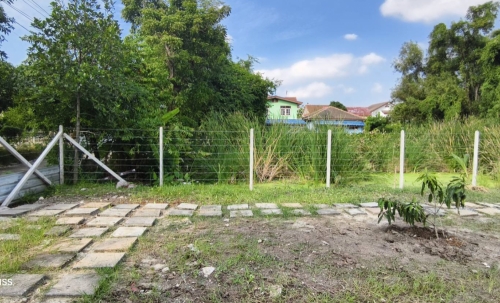 ขายที่ดินเปล่า เหมาะสำหรับสร้างที่พักอาศัย หอพัก ซอยวัดเวฬุวนาราม 13