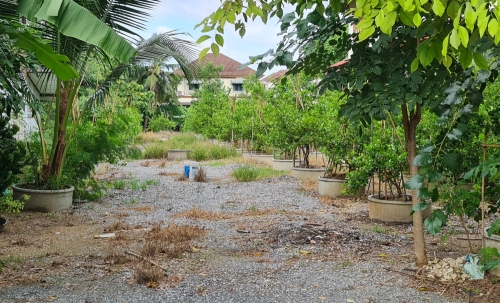 [ขายด่วน] ที่ดินแปลงใหญ่ 498 ตร.ว. พร้อมบ้านหลังใหญ่ ติดคลอง บรรยากาศร่มรื่น ย่านบางกรวย