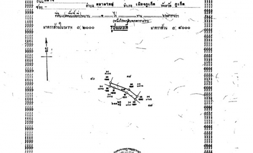 ขายที่ดิน 1 ไร่ 65.44 ตร.ว. เมืองภูเก็ต มีรายได้จากค่าเช่า+เสาสัญญาณ (ไม่รับนายหน้า) โทร 089-6496664