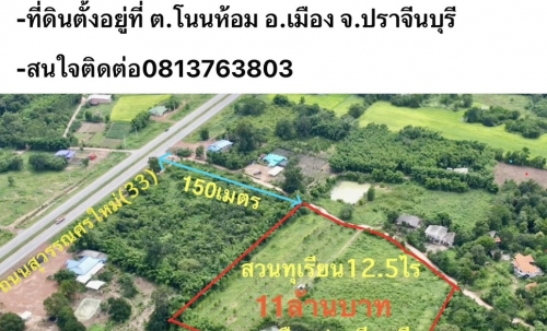 ขายสวนทุเรียน  12.5 ไร่  ตำบลโนนห้อม อำเภอเมือง จังหวัดปราจีนบุรี