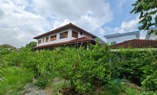 [ขายด่วน] ที่ดินแปลงใหญ่ 498 ตร.ว. พร้อมบ้านหลังใหญ่ ติดคลอง บรรยากาศร่มรื่น ย่านบางกรวย