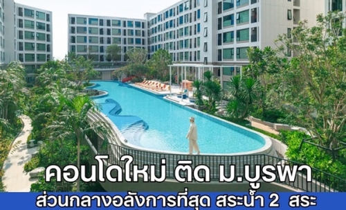 Kave Coco Bangsaen คอนโดใกล้มหาวิทยาลัยบูรพา ทำเลศักยภาพ เหมาะทั้งอยู่อาศัยและลงทุน โทร 093-1681685