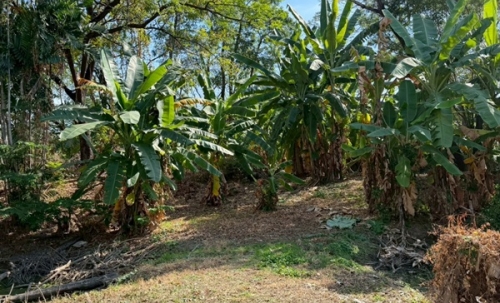 ขายที่ดิน 6 ไร่กว่า พหลโยธิน35 แยก19 ซ.สังข์ทอง 9 ใกล้เมเจอร์รัชโยธิน โทร 090-6360022