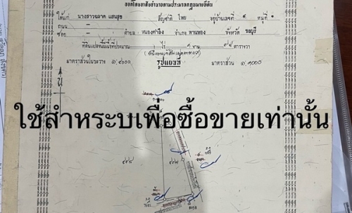 ขายที่ดินเปล่า 198 ตร.ว. ทำเลทอง ติดถนน ต.หนองตำลึง อ.พานทอง จ.ชลบุรี โทร 0953157555