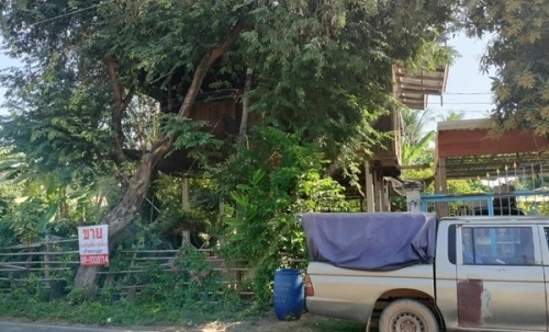 ขายด่วน! (บ้าน 2 ชั้น/ใต้ถุนโล่ง) พร้อมที่ดิน ติดถนนดำ อำเภอลาดยาว นครสวรรค์ โทร 092-6869618