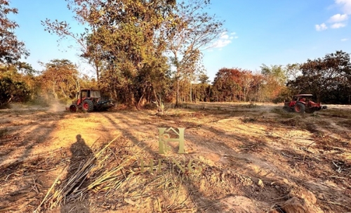 ขายที่ดิน 12 ไร่กว่า ทำเลศักยภาพ ใกล้แหล่งท่องเที่ยว จ.เชียงราย อ.แม่จัน ต.ศรีค้ำ เดินทางสะดวก โทร 081-0321111