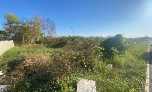 ขายยกที่ดิน 2 แปลงติด ต.หนามแดง อ.เมือง จ.ฉะเชิงเทรา เนื้อที่รวม 3-1-72.2 ไร่ โทร 096-0124534