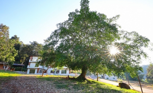 ขายที่ดิน พร้อมอาคาร วิวทะเลหมอก ทำเลศักยภาพ ดอยสะเก็ด – เชียงใหม่ บนเนื้อที่ 5 ไร่กว่า โทร 087-8783536
