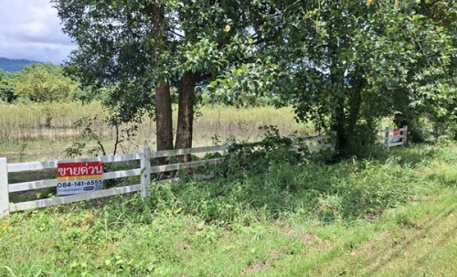 ขายที่ดินแปลงใหญ่สวยเนื้อที่ 11 ไร่ ต.สาริกา อ.เมืองนครนายก จ.นครนายก โทร.084-1416555