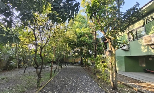 ขายบ้านสวน พร้อมที่ดิน รวม 3 ไร่ บึงกาสาม อ.หนองเสือ จ.ปทุมธานี น้ำไม่ท่วม เจ้าของขายเอง โทร.086-7777215