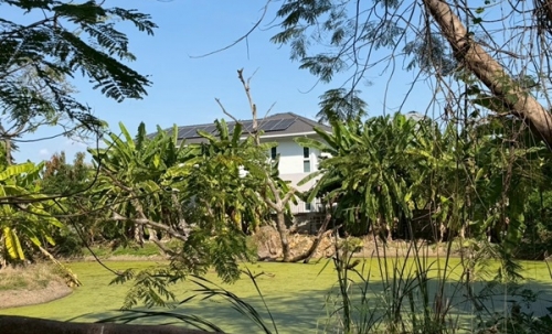 ขายที่ดิน 6 ไร่กว่า พหลโยธิน35 แยก19 ซ.สังข์ทอง 9 ใกล้เมเจอร์รัชโยธิน โทร 090-6360022