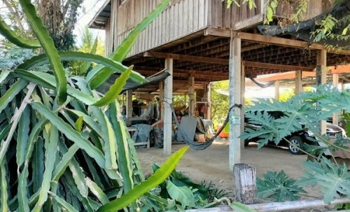 ขายด่วน! (บ้าน 2 ชั้น/ใต้ถุนโล่ง) พร้อมที่ดิน ติดถนนดำ อำเภอลาดยาว นครสวรรค์ โทร 092-6869618