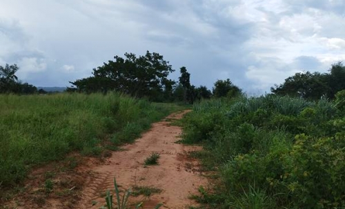 ขายที่ดิน ลดราคา 2 ไร่ สวย ที่ไทรโยค กาญจนบุรี เหมาะกับคนรักความสงบ พักผ่อน ทำสวน โทรคุยเลย 0810117012