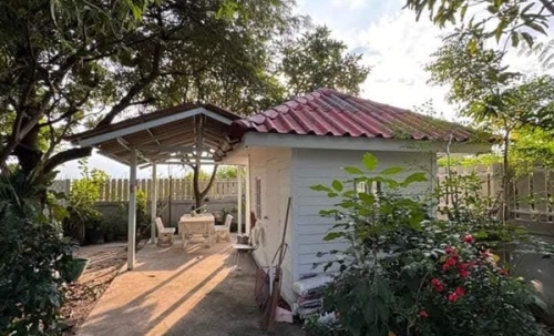 ขายบ้านสวน ไทรน้อย นนทบุรี (2.2 ลบ ลดจาก 2.65 ลบ) พร้อมไม้ดอกผลไม้ มีวิวทุ่งนา ใกล้วัดมะสง ไม่ไกลจากกรุงเทพฯ โทร 0852619111