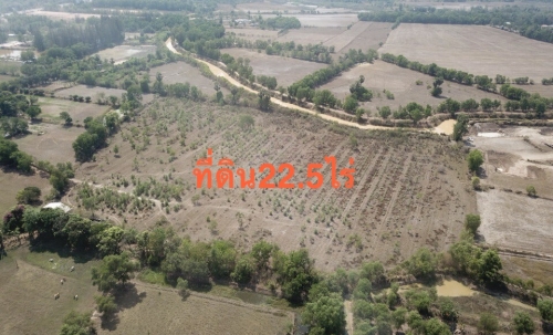 ขายที่ดินขนาด 22.5 ไร่ ใน อำเภอประจันตคาม จังหวัดปราจีนบุรี