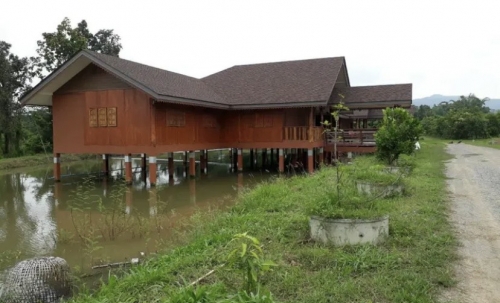 ขายที่ดินพร้อมบ้านและสวนลำไย 14 ไร่ ทำเลดีมาก อ.เมือง จ.ลำพุน