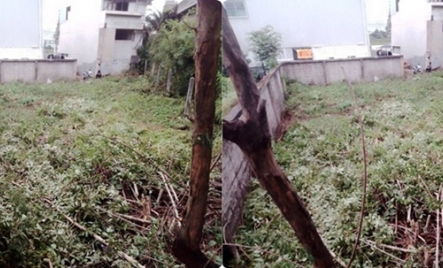 ขายที่ดิน พร้อมตึก 124 ตารางวา 3 ชั้นครึ่ง สุขาภิบาล5