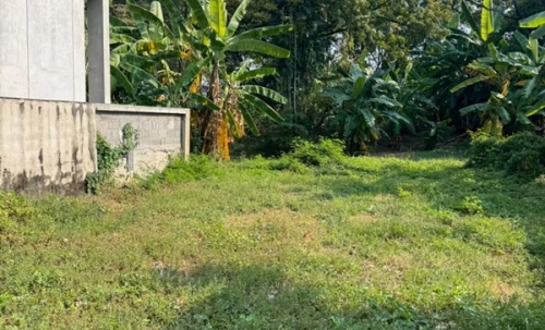 ขายที่ดิน 6 ไร่กว่า พหลโยธิน35 แยก19 ซ.สังข์ทอง 9 ใกล้เมเจอร์รัชโยธิน โทร 090-6360022