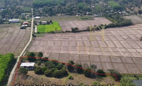 ขายที่ดินเปล่าพร้อมสิ่งปลูกสร้าง ทำเลบ้านจำปู ต.เจริญเมือง อ.พาน จ.เชียงราย โทร 081-0321111