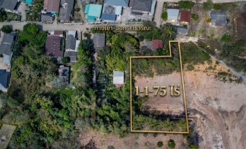 ขายที่ดินเนินเขา 1 ไร่กว่า ใกล้สิงห์ปาร์ค-วัดร่องขุ่น ทำเลแยกหัวฝาย เชียงราย น้ำไม่ท่วม! โทร 081-0321111