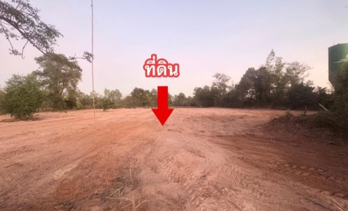 ที่ดินเปล่ามีเอกสารสิทธิ์โฉนดครุฑแดง 6 ไร่ 1 งาน 10 ตารางวา ยโสธร