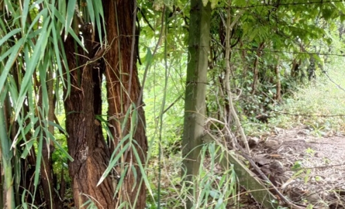 ขายด่วน! ที่ดินเปล่า ทำเลดี ใกล้เมืองนครสวรรค์ เนื้อที่ 160 ตร.ว. โทร 092-6869618