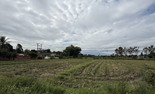 แบ่งขายที่ดิน 14 แปลง ขนาด 75-122 ตารางวา ตั้งอยู่ที่ ตำบลแม่ปูคา อำเภอสันกำแพง จังหวัดเชียงใหม่ (เจ้าของขายเอง) โทร 0806169615