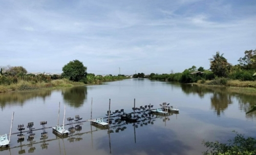 ขายด่วน! ลดกระหน่ำ ถูกสุดๆ ขายที่ดินราคาพิเศษ อ.บางเสาธง จ.สมุทรปราการ สวย ทำเลดี Tel. 092-6869618