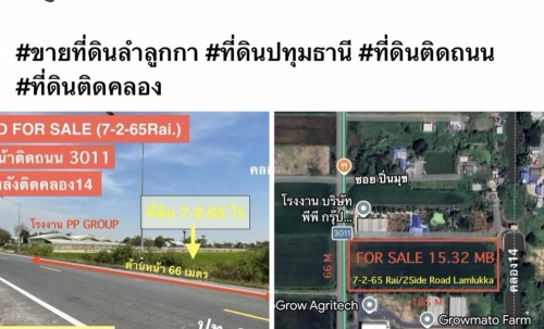 ขายที่ดิน 7 ไร่ 2 งาน 65 ตารางวา ต.พืชอุดม อ.ลำลูกกา จ.ปทุมธานี