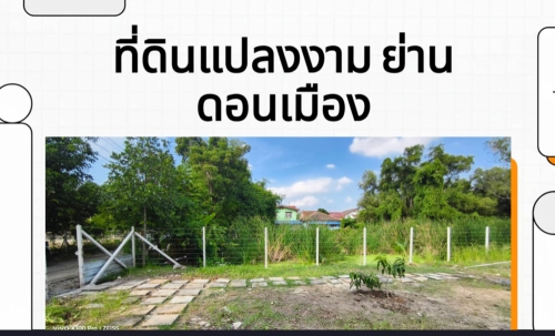 ขายที่ดินเปล่า เหมาะสำหรับสร้างที่พักอาศัย หอพัก ซอยวัดเวฬุวนาราม 13