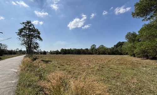 ขายที่ดิน 13 ไร่ 63 ตารางวา นครนายก ถนนสุวรรณศร หมู่ที่9 ต.ป่าขะ อ.บ้านนา โทร 089-7411750