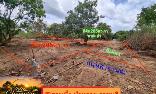 ขายที่ดิน 205 ตารางวา (นส.3ก.รอเดินสำรวจเอาโฉนด)ทำเลสวย อำเภอสวนผึ้ง จังหวัดราชบุรี