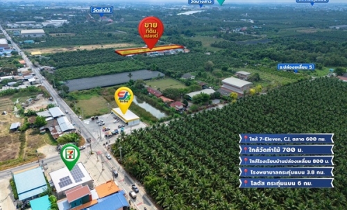 ขายด่วน! ที่ดินใกล้วัดท่าไม้ เริ่ม 700,000 ต่อรองได้ อ.กระทุ่มแบน จ.สมุทรสาคร ทำเลชุมชน โทร 082-8756645