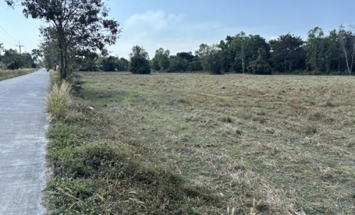 ขายที่ดิน 13 ไร่ 63 ตารางวา นครนายก ถนนสุวรรณศร หมู่ที่9 ต.ป่าขะ อ.บ้านนา โทร 089-7411750