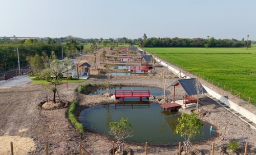 ที่ดินแบ่งขาย ที่ อ.สองพี่น้อง จ.สุพรรณบุรี สวยงาม พร้อมสร้างบ้าน เจ้าของขายเอง โทร 096-8817733