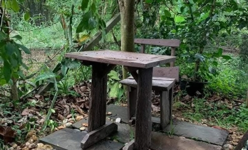 ขายบ้านสวน ไทรน้อย นนทบุรี (2.2 ลบ ลดจาก 2.65 ลบ) พร้อมไม้ดอกผลไม้ มีวิวทุ่งนา ใกล้วัดมะสง ไม่ไกลจากกรุงเทพฯ โทร 0852619111