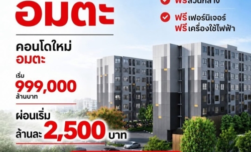 VAY Amata คอนโดแต่งครบ ใกล้นิคมอมตะนคร ห้องแต่งครบ พร้อมเข้าอยู่ โทร 0655639565