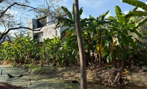 ขายที่ดินพหลโยธิน 35 แยก 19 ซอยสังข์ทอง 9 (พื้นที่สีส้ม) เนื้อที่ 6‑0‑69 ไร่ ใกล้เมเจอร์รัชโยธิน โทร 090-6360022