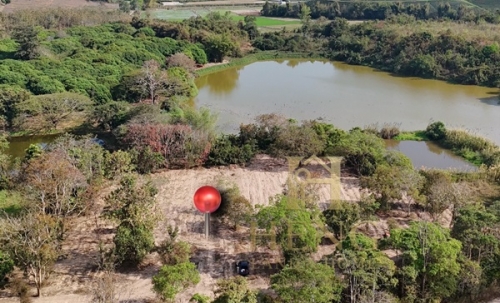 ขายที่ดิน 12 ไร่กว่า ทำเลศักยภาพ ใกล้แหล่งท่องเที่ยว จ.เชียงราย อ.แม่จัน ต.ศรีค้ำ เดินทางสะดวก โทร 081-0321111