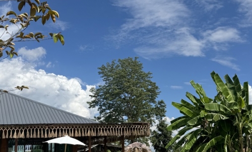 ขายกิจการร้านกาแฟ สระว่ายน้ำ วิลล่า 4 หลัง อ.แม่ริม จ.เชียงใหม่ พร้อมบริหารกิจการต่อได้เลย โทร 088-9162454