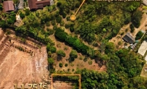 ขายที่ดินเนินเขา 1 ไร่กว่า ใกล้สิงห์ปาร์ค-วัดร่องขุ่น ทำเลแยกหัวฝาย เชียงราย น้ำไม่ท่วม! โทร 081-0321111