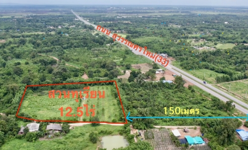 ขายสวนทุเรียน  12.5 ไร่  ตำบลโนนห้อม อำเภอเมือง จังหวัดปราจีนบุรี