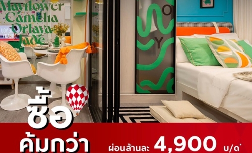 ขายคอนโดใหม่ Kave Wonderland ใกล้ ม.ธรรมศาสตร์ แต่งครบ พร้อมอยู่ เลี้ยงสัตว์ได้ โทร 0616161426