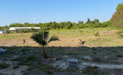 ขายที่ดิน 4 ไร่ 3 ตรว. บางนา กม.25 (พื้นที่สีแดง) ติดถนนบางนา-ตราด ฝั่งขาออก โทร 090-6360022