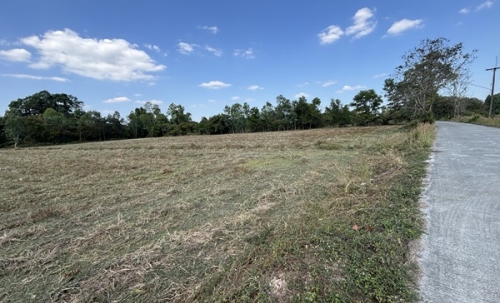 ขายที่ดิน 13 ไร่ 63 ตารางวา นครนายก ถนนสุวรรณศร หมู่ที่9 ต.ป่าขะ อ.บ้านนา โทร 089-7411750