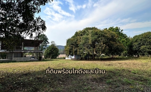 ขายที่ดินเปล่าพร้อมสิ่งปลูกสร้าง ทำเลบ้านจำปู ต.เจริญเมือง อ.พาน จ.เชียงราย โทร 081-0321111